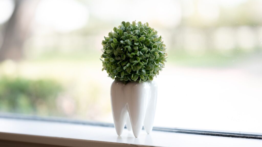 How Important is Preventive Dentistry? Tips for Maintaining a Healthy Smile